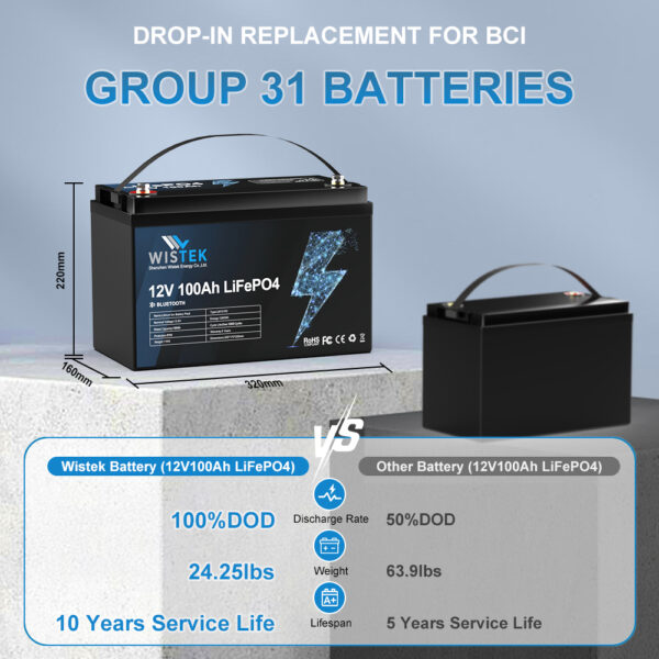 OEM/ODM 12V 12.8V 100Ah LiFePO4 Battery Replace Lead Acid Battery