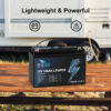 OEM/ODM 12V 12.8V 100Ah LiFePO4 Battery Replace Lead Acid Battery