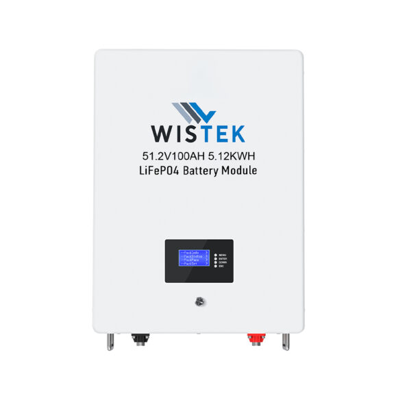 51.2V 100Ah 5kWh wall mounted battery