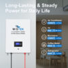 OEM ODM 51.2V 100Ah 5kWh Wall Mounted LiFePO4 Battery